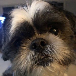 Meet your Posher, Eileen